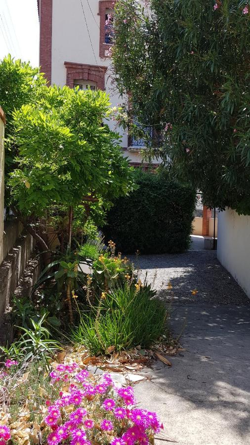 Appartement 300 M Plage Et Port Banyuls-sur-Mer Luaran gambar